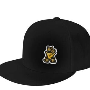 Alpha Phi Alpha fraternity flat brimmed logo cap
